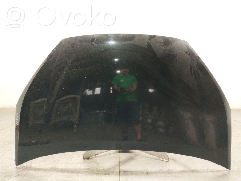 Motorhaube   1569486