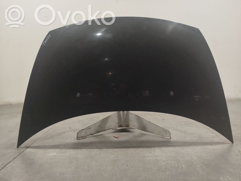 Motorhaube