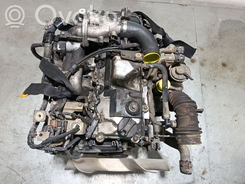 Motor   ZD30,021847K