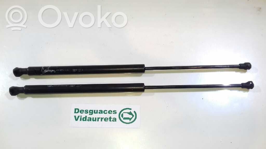 Peugeot 207 Ammortizzatore portellone posteriore/bagagliaio
