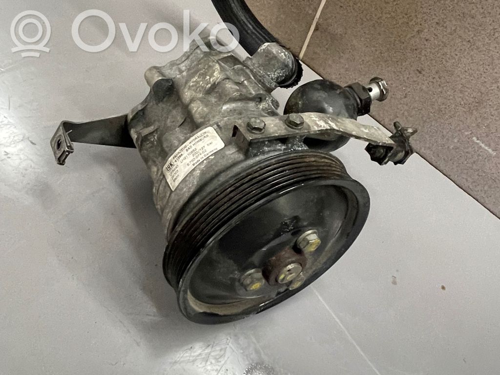 Servopumpe   6760074,LH2110852
