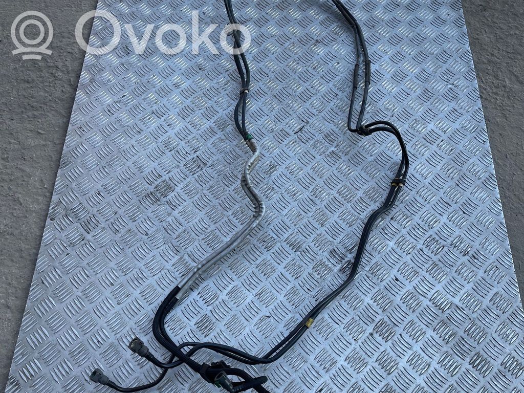 Degvielas caurulīte (-es)   9819365880,9817934180