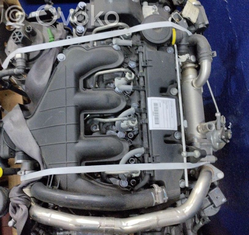 Engine   RHR,DELPHI,4010040