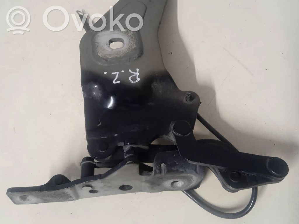BMW X5 E70 Dzinēja pārsega eņģe (-es) 