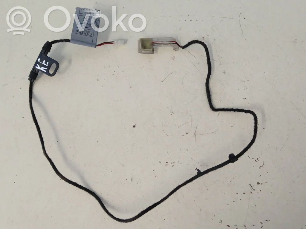 BMW X5 E70 Luz de manecilla de puerta (externa) 