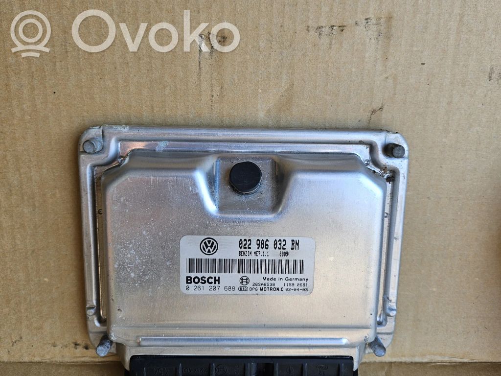 Volkswagen Phaeton Engine control unit/module 