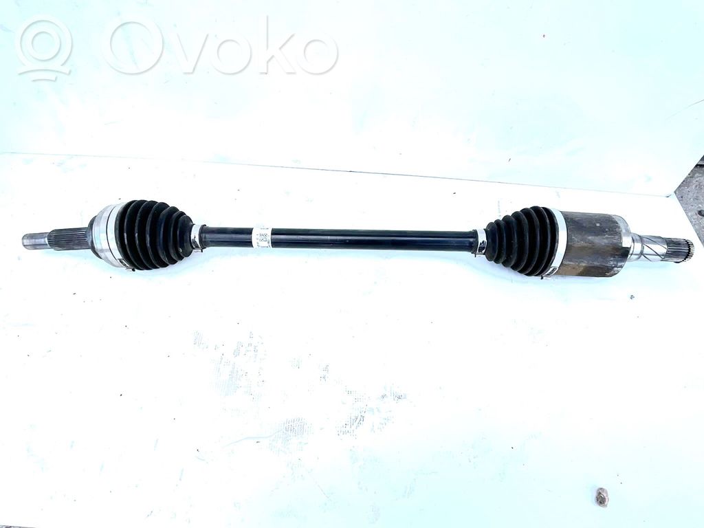 Aizmugurējā pusass   142016100A,142016100A,A21288311108