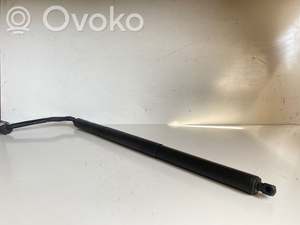 Tailgate/trunk strut/damper   164801600B