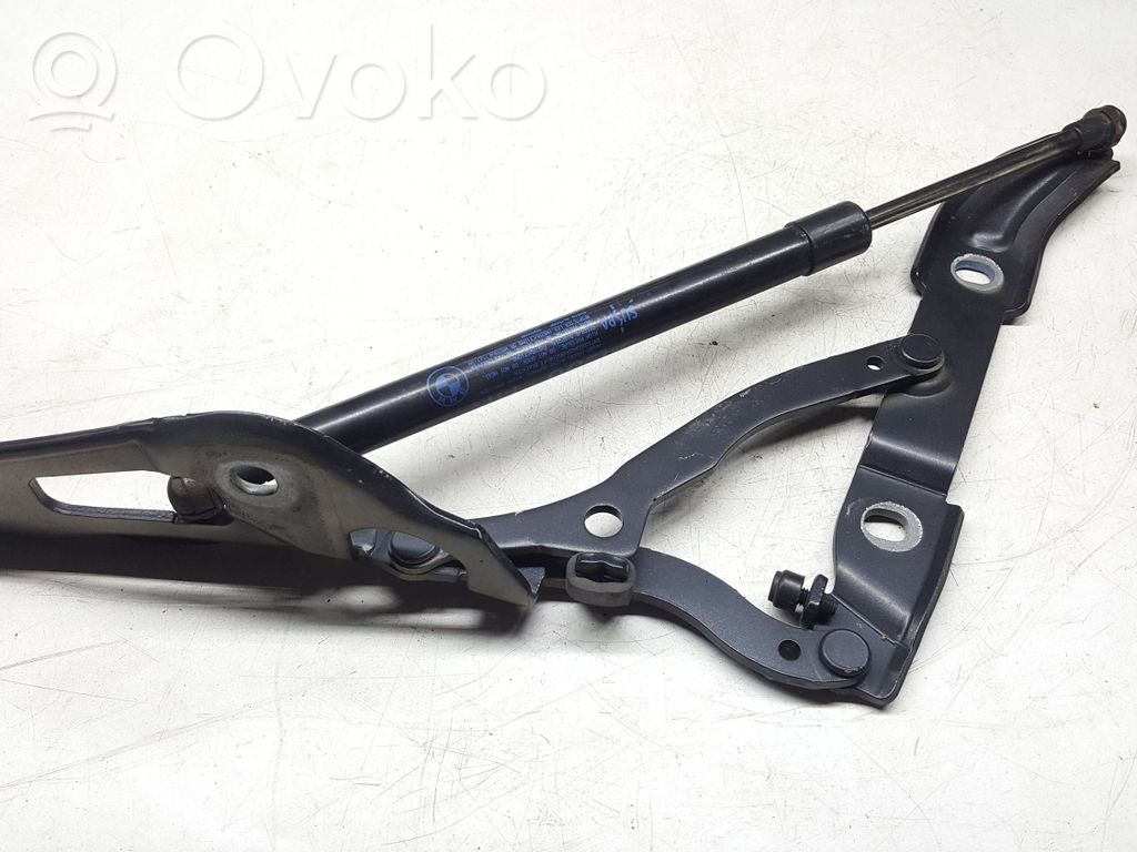 Tailgate/trunk/boot hinge   ES03,706062807