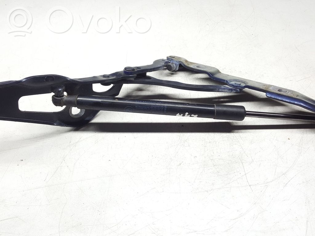 BMW 1 E82 E88 Tailgate/trunk/boot hinge 