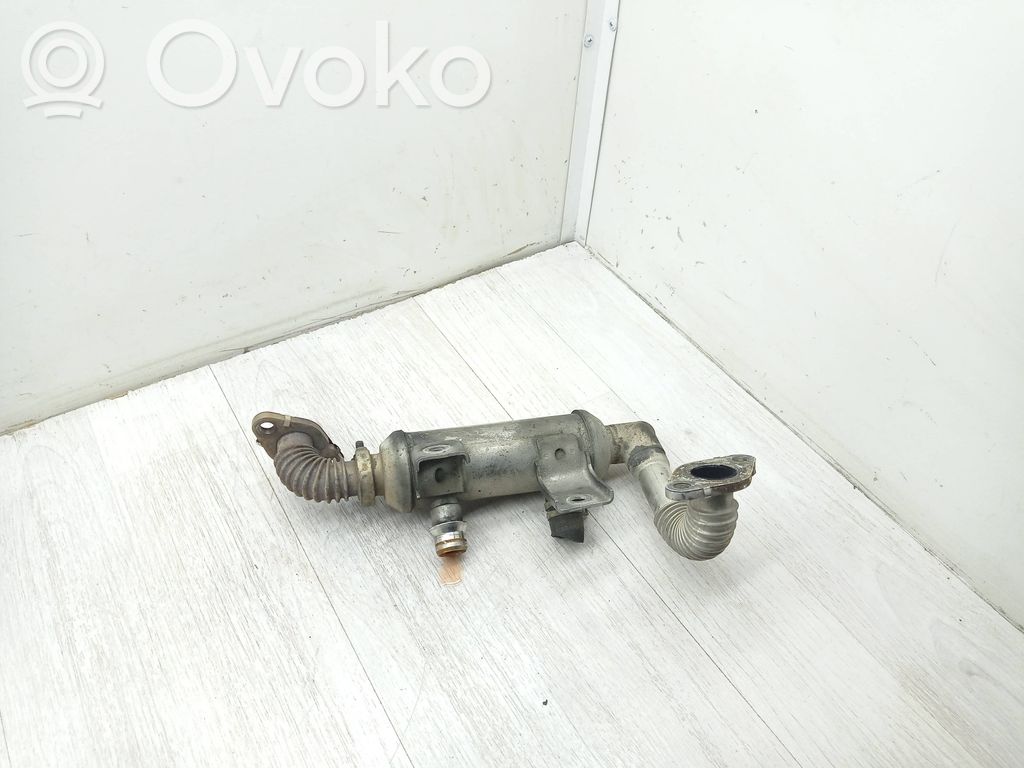 Ford Focus Chłodnica spalin EGR 