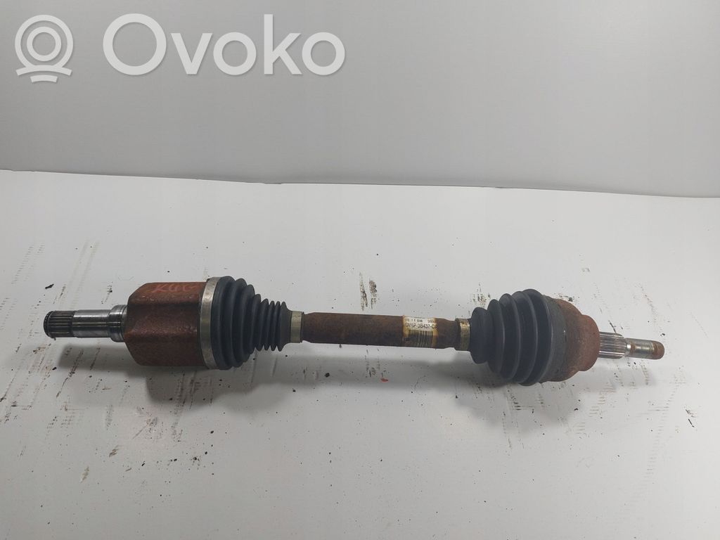 Ford Kuga II Loading door hinge set 