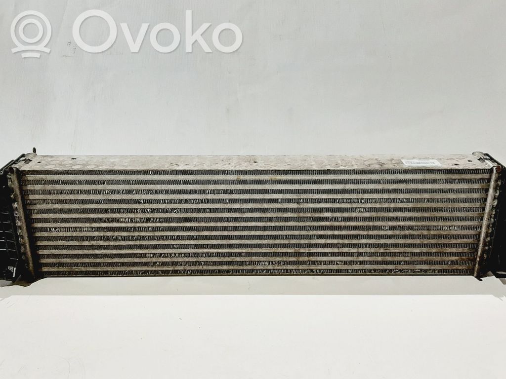 Interkūlerio radiatorius   31338734