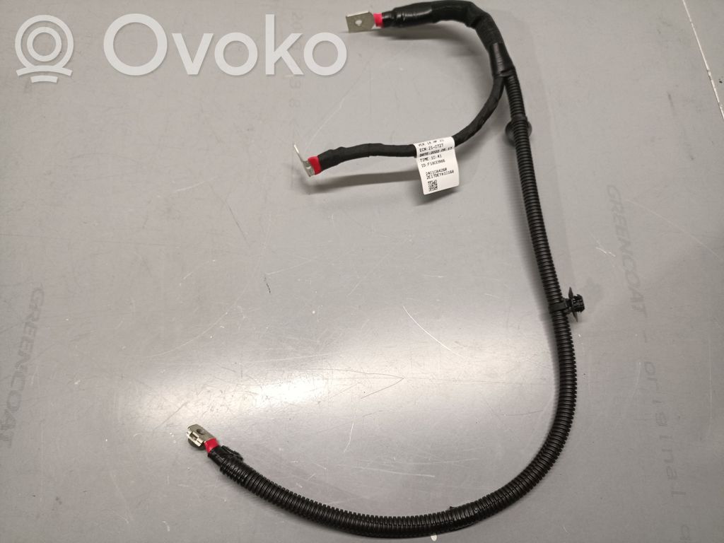 Renault Arkana Cableado positivo 