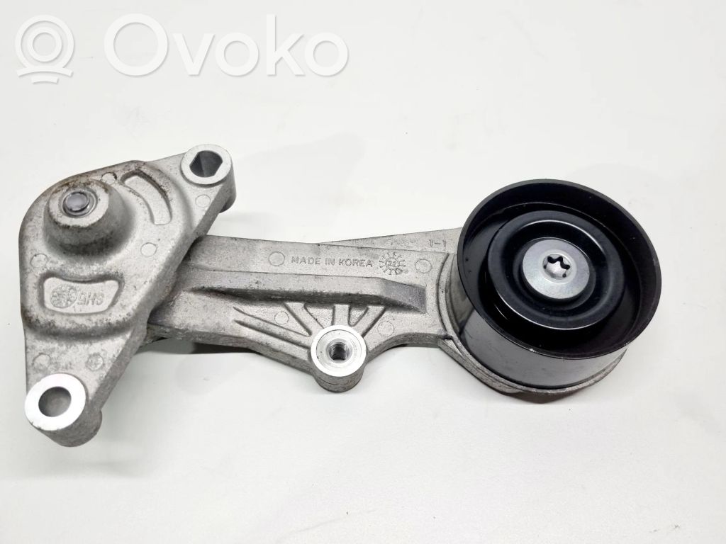 Hyundai Kona I Diržo įtempėjo skriemulys 