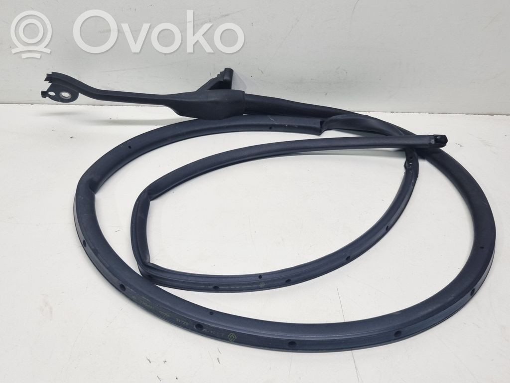 Renault Clio V Rubber seal rear door 