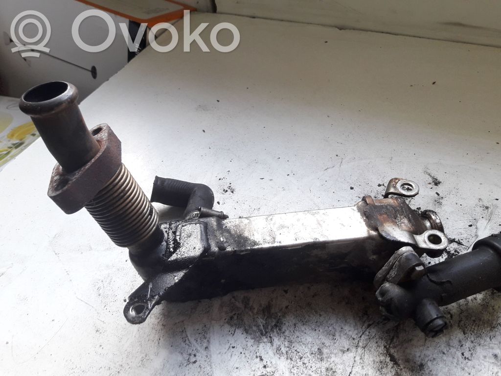 BMW 3 E90 E91 EGR dzesētājs 