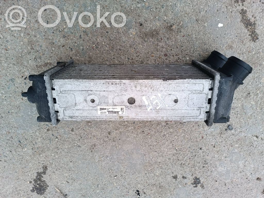 Interkūlerio radiatorius   876923JD