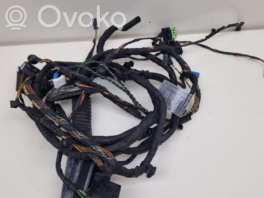 BMW 5 F10 F11 Wiązka przewodów drzwi przednich 