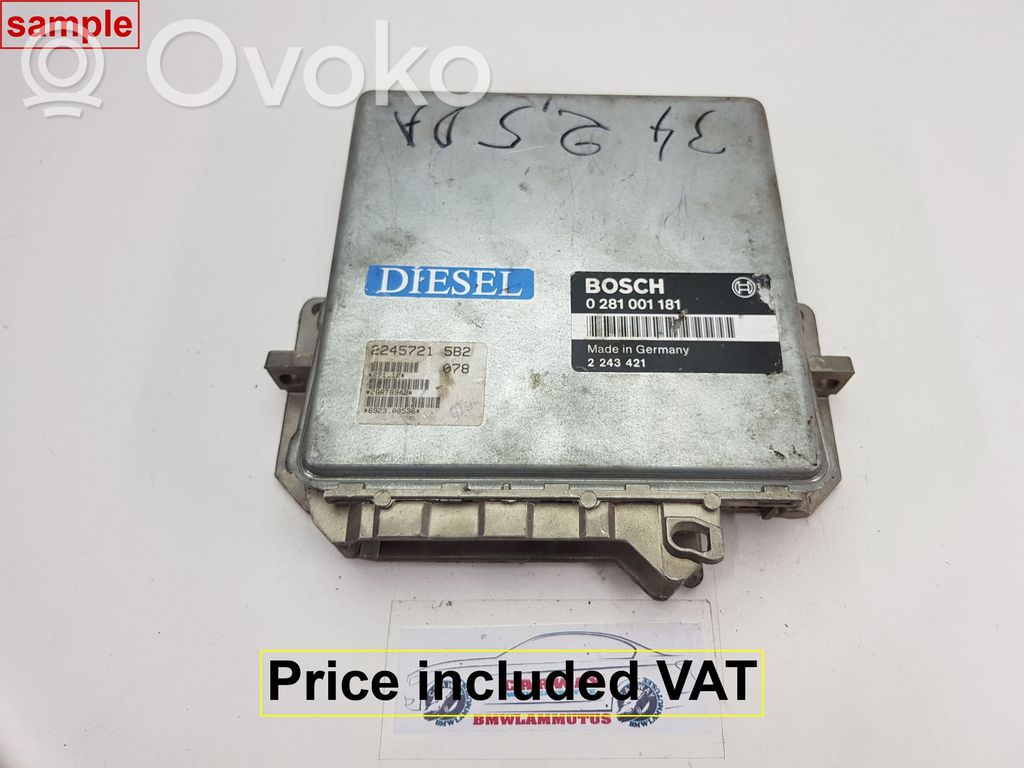 BMW 5 E34 Engine control unit/module 