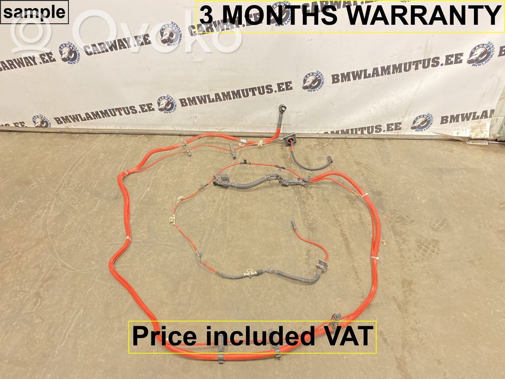 BMW X6 E71 Positive cable (battery) 