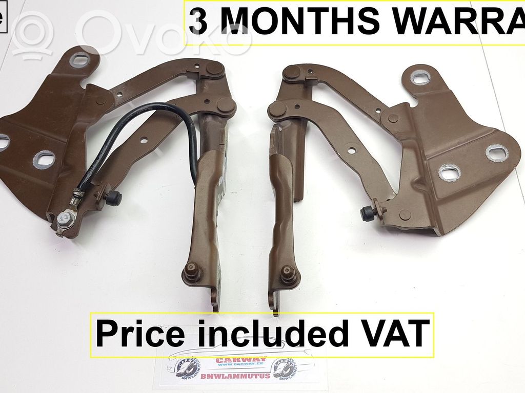 BMW X1 E84 Engine bonnet/hood hinges 