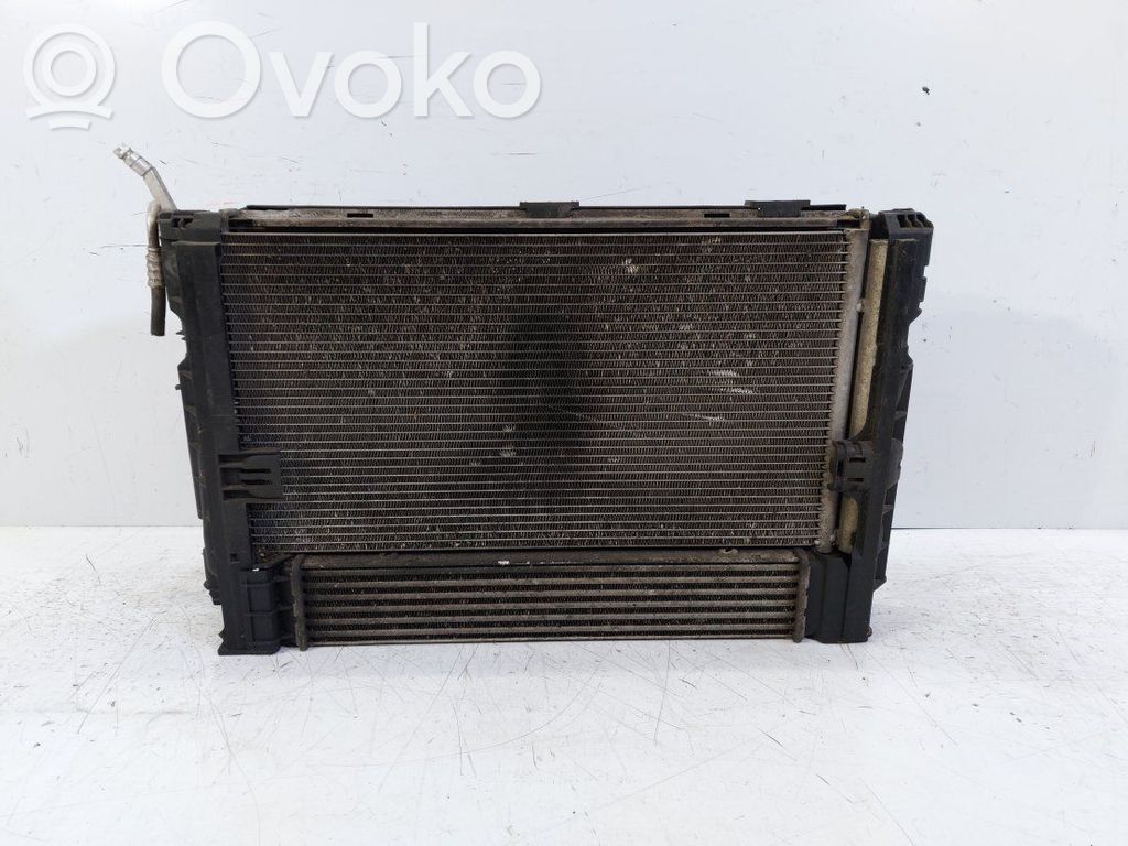 Radiator set   11074810,11074810,781025802,1137328144,130303941,17107524912
