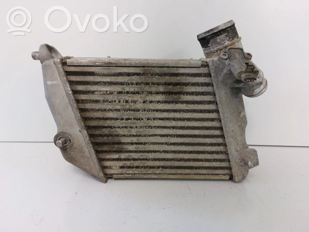 Audi A8 S8 D3 4E Interkūlerio radiatorius 