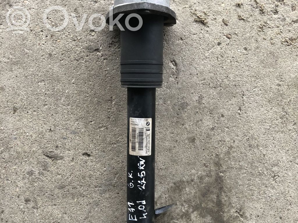 BMW X6 E71 Stoßdämpfer hinten 