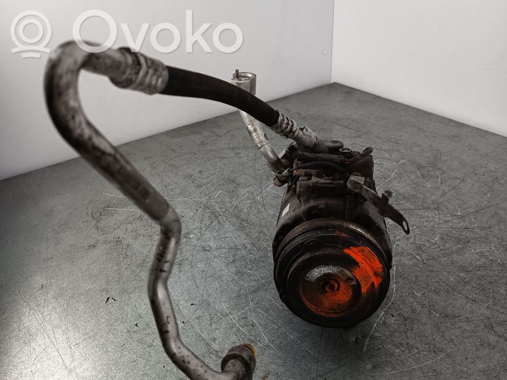 Klimakompressor Pumpe   6946871