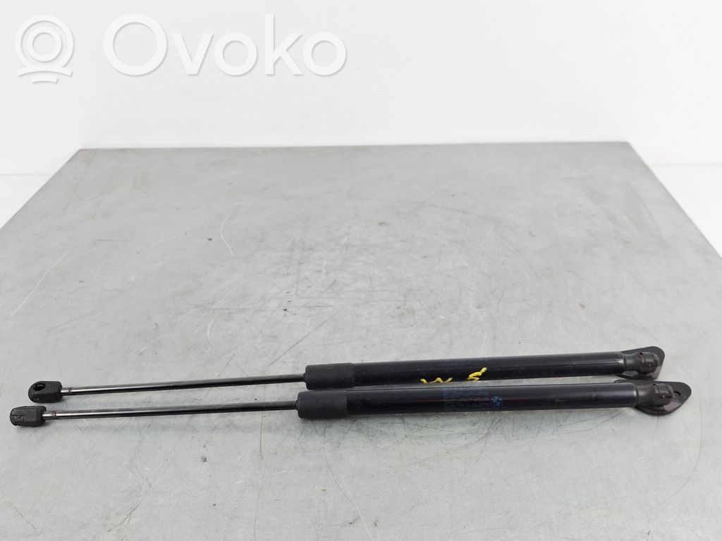 BMW X1 E84 Tailgate/trunk strut/damper 