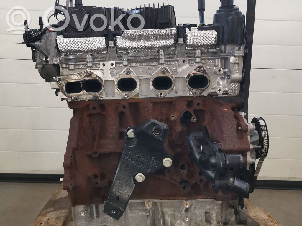 Engine   YLFA