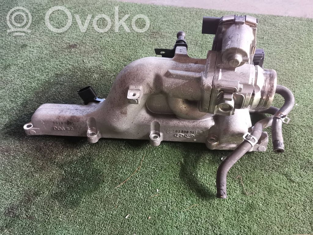 Hyundai Kona I Válvula EGR 
