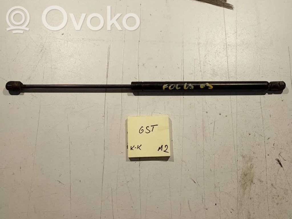 Tailgate strut   1070024