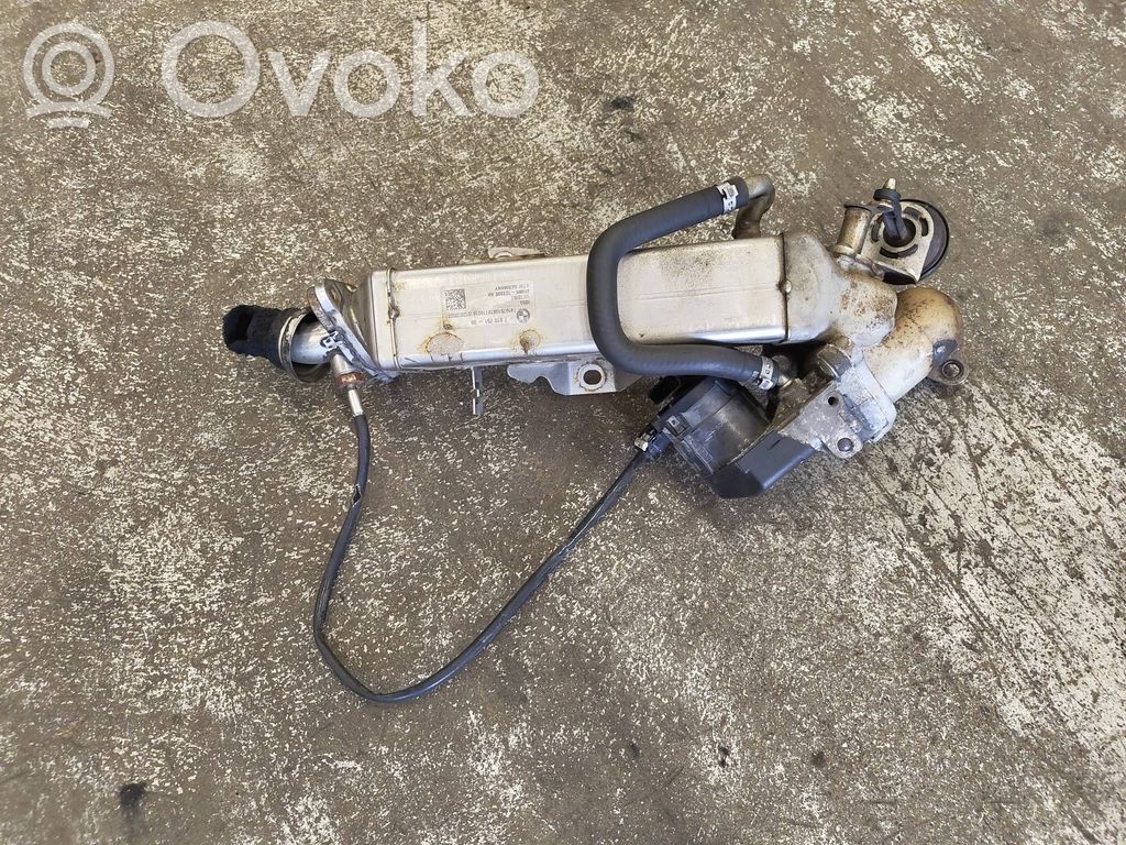 EGR aušintuvas   7810751