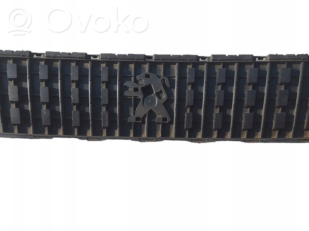 Peugeot Expert Grilă radiator față 