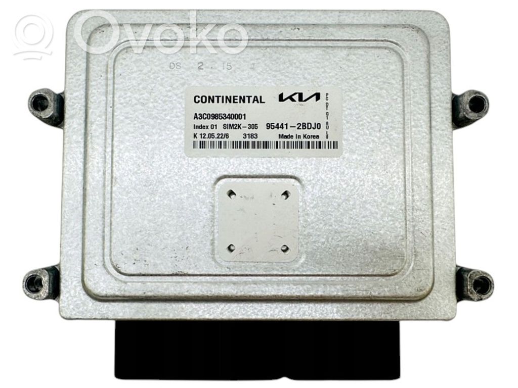 Variklio valdymo blokas   2BDJ0,A3C0985340001