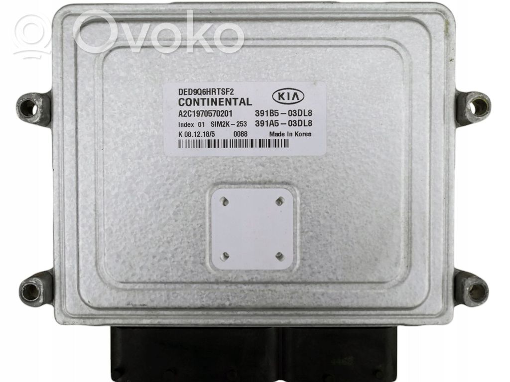 Engine control unit/module   A2C1970570201,391B503DL8