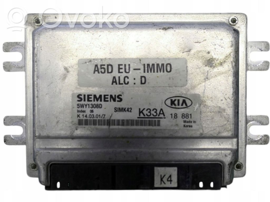 KIA Rio Engine control unit/module 