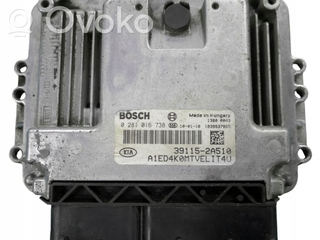 Engine control unit/module   0281016738,391152A510