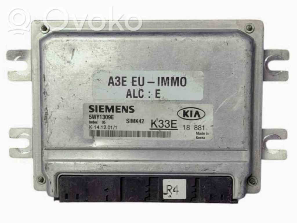 KIA Rio Engine control unit/module 