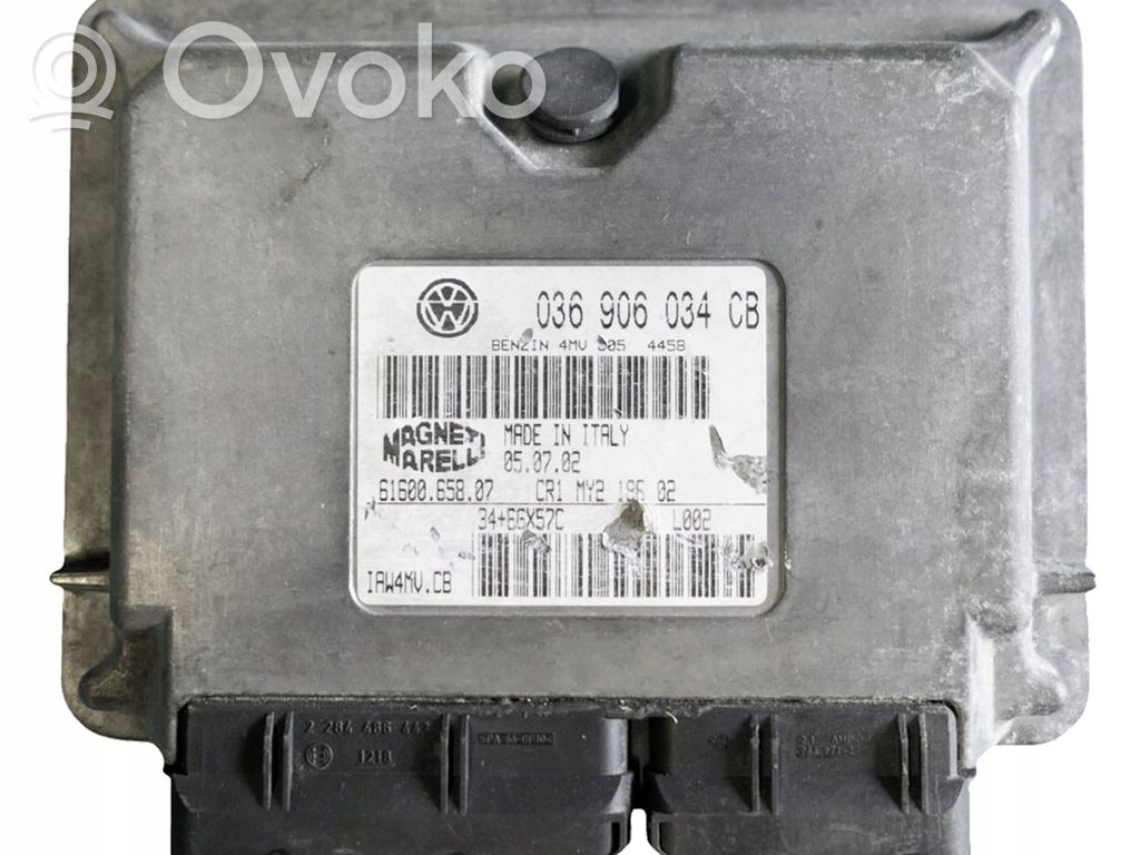 Engine control unit/module   036906034CB,IAW4MV