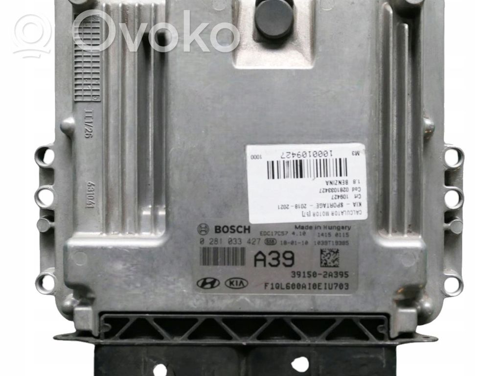 KIA Sportage Engine control unit/module 