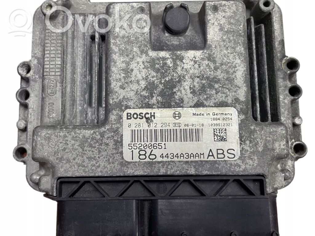 Engine control unit/module   55200651,0281012294