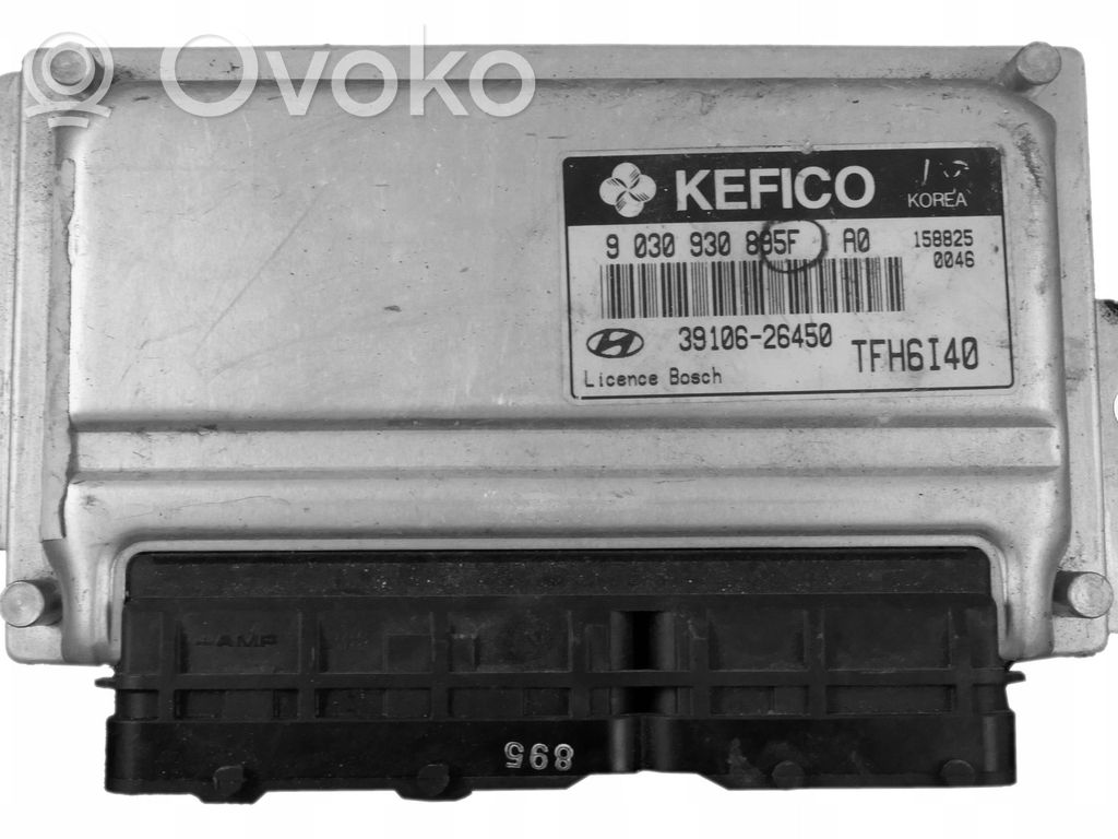 Hyundai Getz Engine control unit/module 