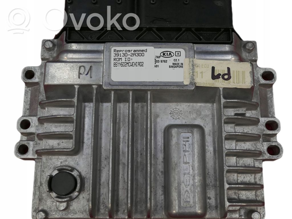 Engine control unit/module   391302A300,28264012
