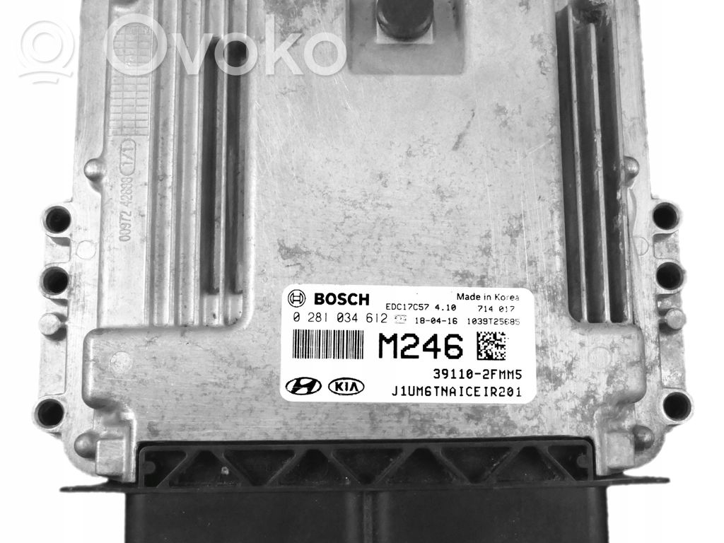 Engine control unit/module   2FMM5,0281034612,39110