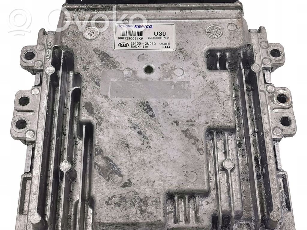 Engine control unit/module   391002U930,9001230061KF