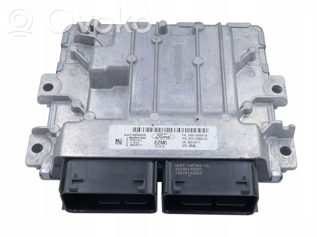 Ford Focus Engine control unit/module 