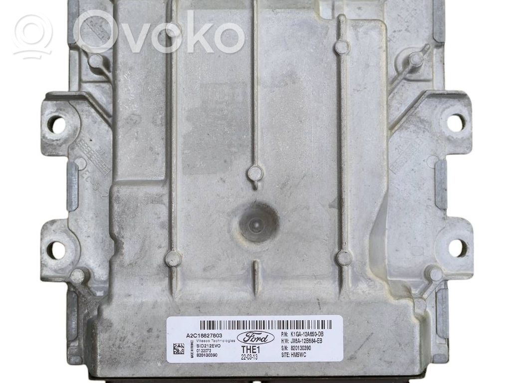 Ford Focus Engine control unit/module 